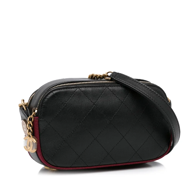 Chanel Quilted Leather Shoulder Bag for FashionistasChanel Button Up Double Zip Camera Bag Black Calfskin Gold